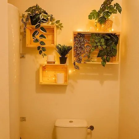 Le Soleil Du Pont Vieux - Avec Terrasse - Wi-fi - Proche Cite Medievale