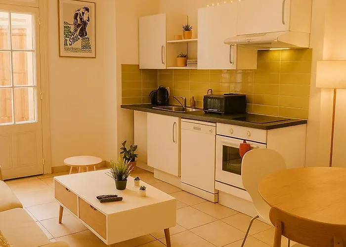 Le Soleil Du Pont Vieux - Avec Terrasse - Wi-fi - Proche Cite Medievale *