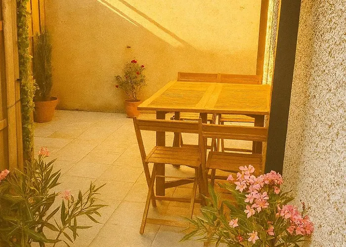 Apartment Le Soleil Du Pont Vieux - Avec Terrasse - Wi-fi - Proche Cite Medievale Carcassonne